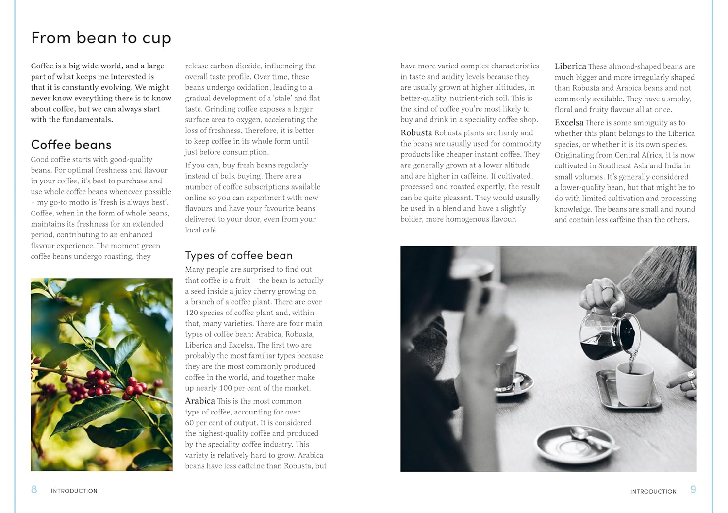 Coffee Creations: 90 delicious recipes for the perfect cup (Celeste Wong)