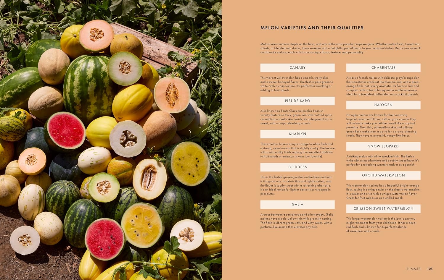 *Pre-order* Full Belly: Recipes and Stories from a Family Farm (Amon Muller, Jenna Muller)