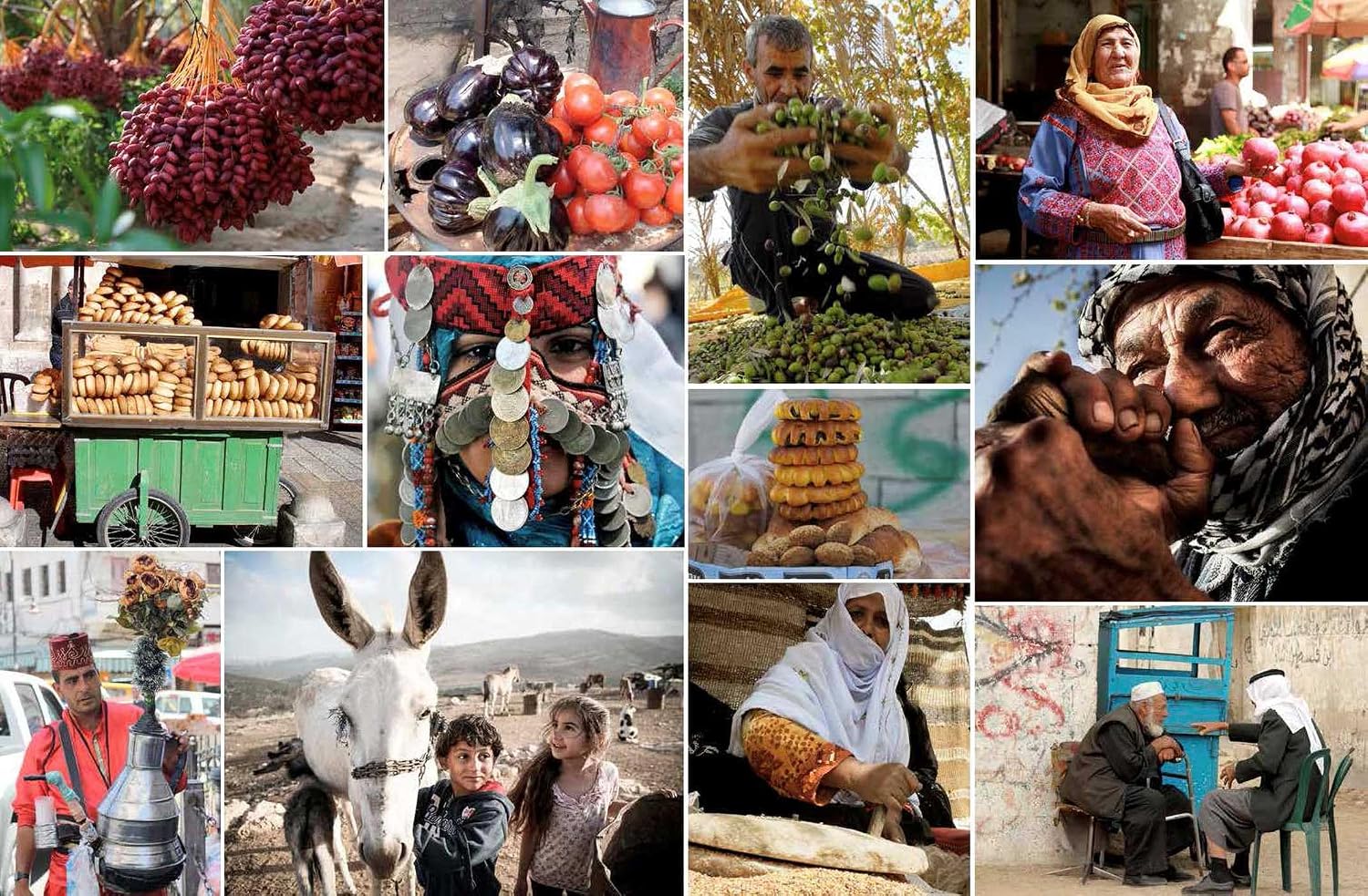 *Pre-order* Palestine on a Plate: Memories from My Mother's Kitchen, 10th Anniversary Edition (Joudie Kalla)