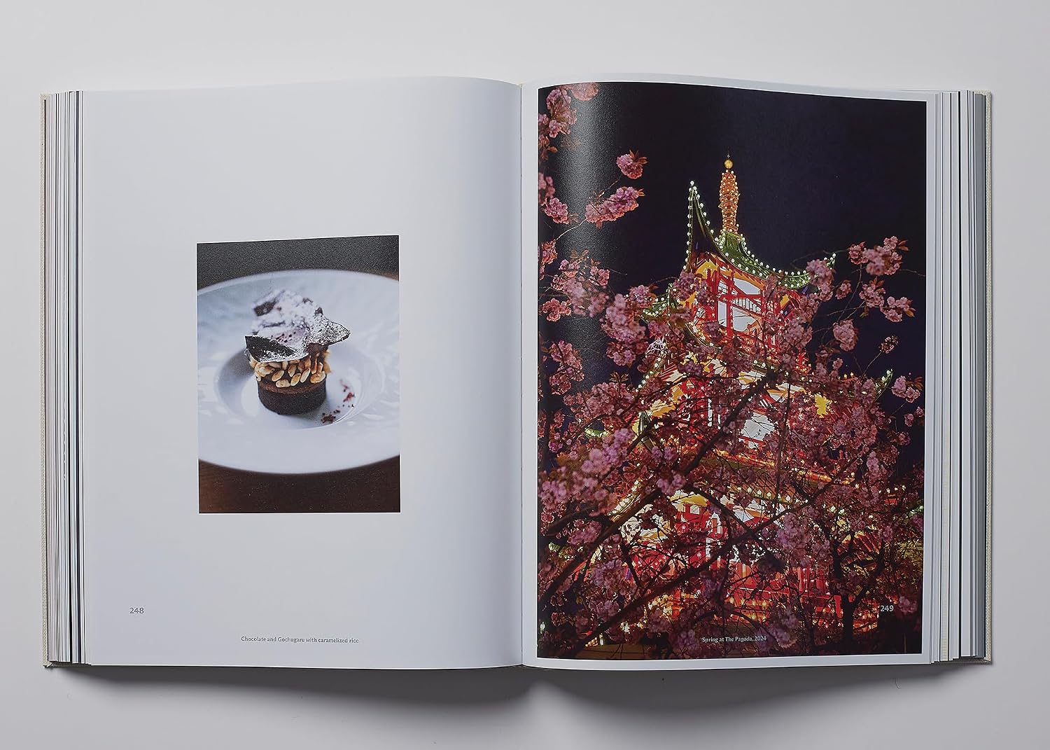 *Pre-order* The Pagoda (Nimb)
