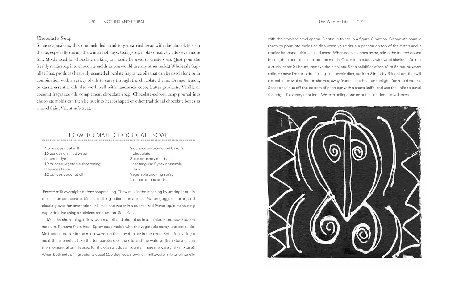 Motherland Herbal: The Story of African Holistic Health (Stephanie Rose Bird)