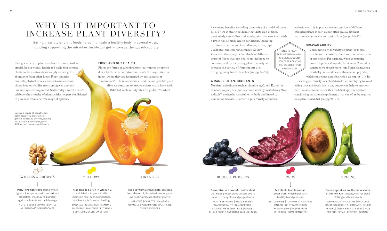 The Science of Plant-Based Nutrition: How to Enhance the Power of Plants for Optimal Health (Rhiannon Lambert)