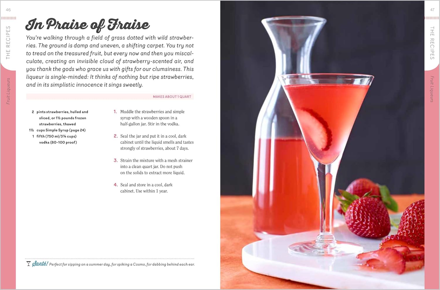 Homemade Liqueurs and Infused Spirits: Innovative Flavor Combinations, Plus Homemade Versions of Kahlúa, Cointreau, and Other Popular Liqueurs  (Andrew Schloss)
