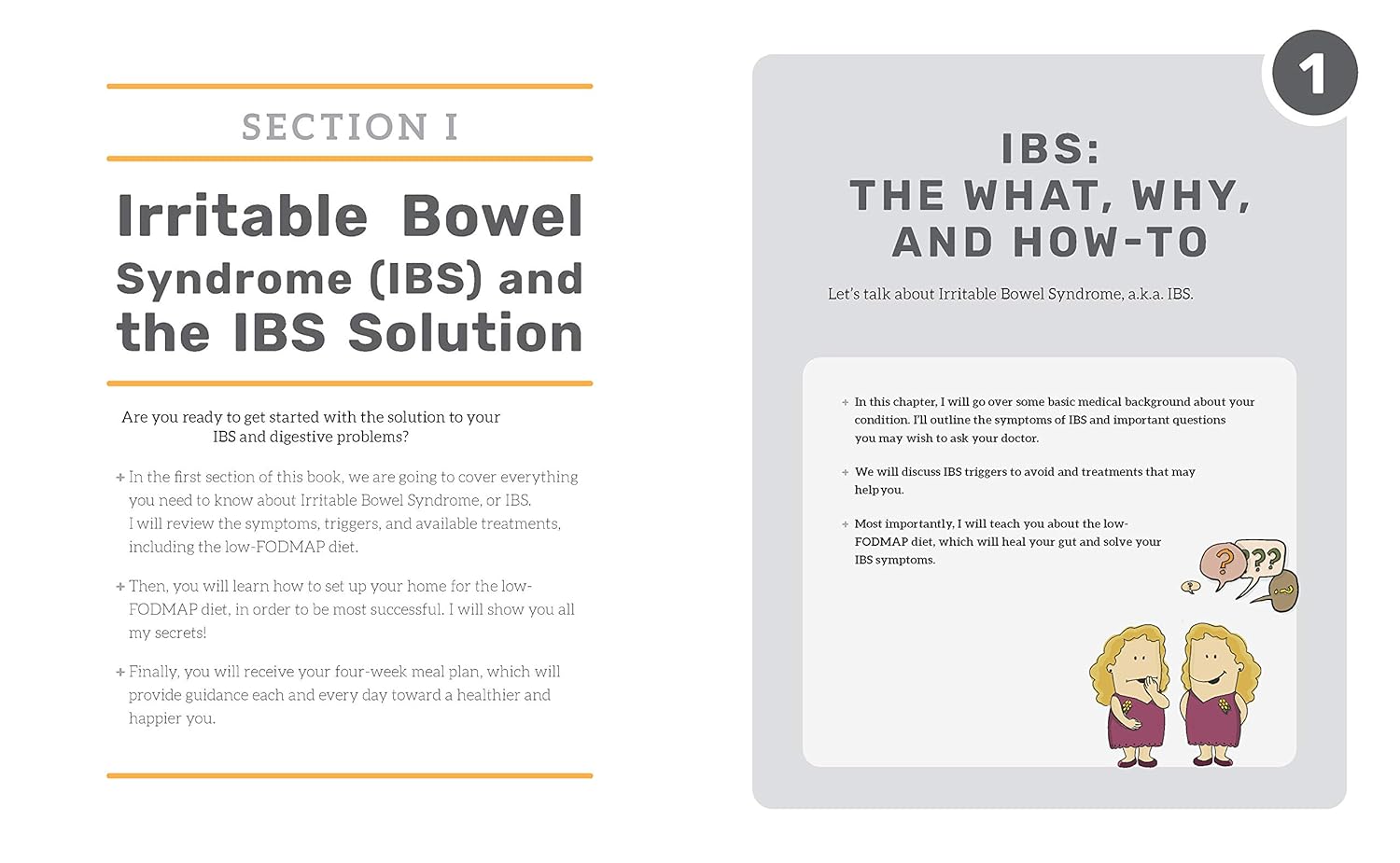 The Low-FODMAP IBS Solution Plan and Cookbook: Heal Your IBS with More Than 100 Low-FODMAP Recipes That Prep in 30 Minutes or Less (Dr. Rachel Pauls)