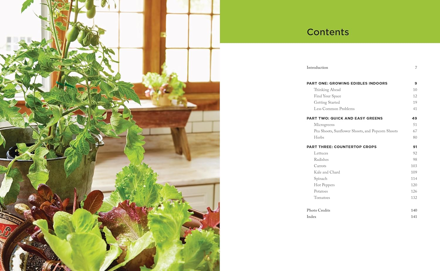 Indoor Kitchen Gardening for Beginners: Turn Your Home Into a Year-round Vegetable Garden (Elizabeth Millard)