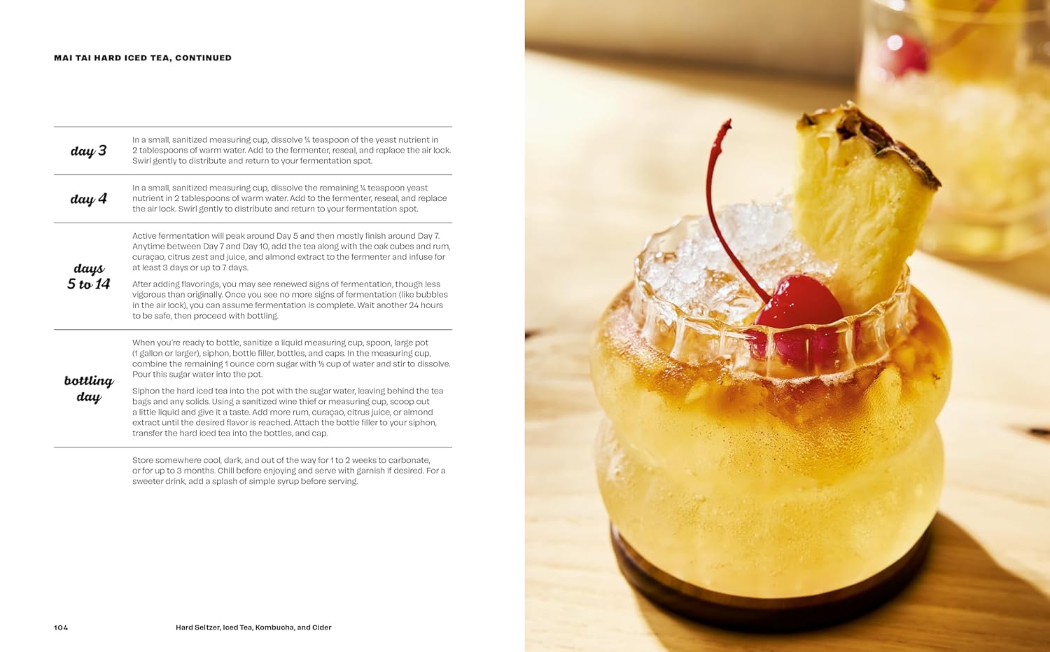 Hard Seltzer, Iced Tea, Kombucha, and Cider: How to Make Your Own Boozy Fermented Drinks (Emma Christensen)