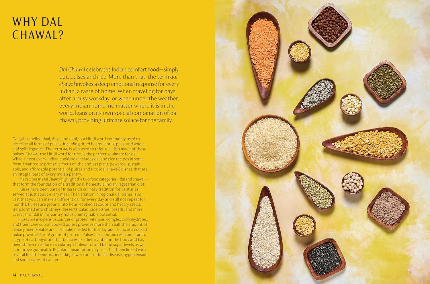 Dal Chawal: 85 Vegetarian Indian Recipes Combining the Power of Dal and Rice (Sapna Punjabi)