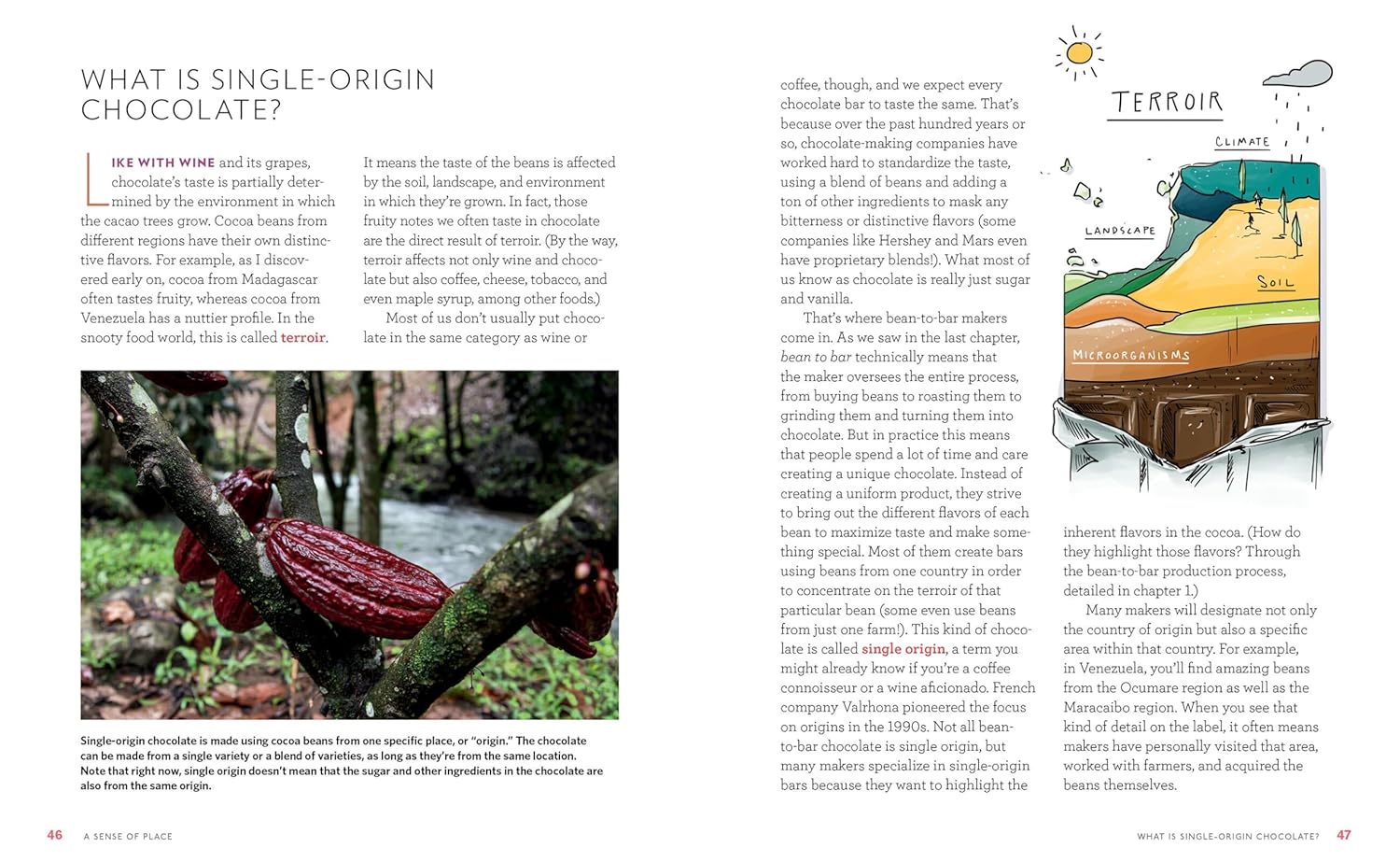 Bean-to-Bar Chocolate: America’s Craft Chocolate Revolution: The Origins, the Makers, and the Mind-Blowing Flavors (Megan Giller)