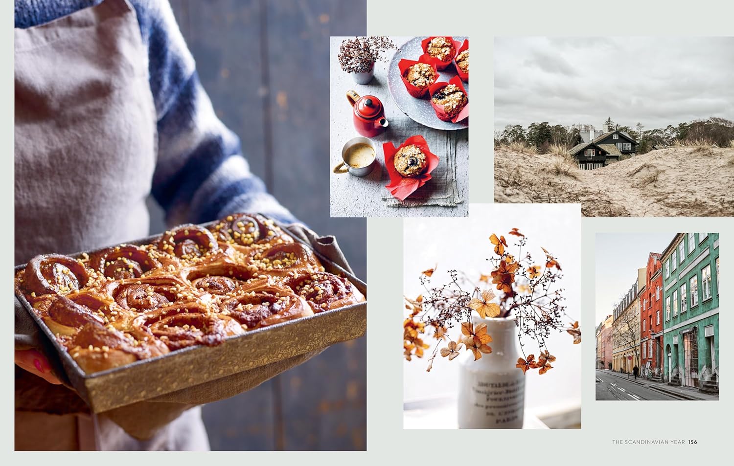 The Scandinavian Year: Food and thoughts from Sweden, Denmark and Norway (Bronte Aurell)