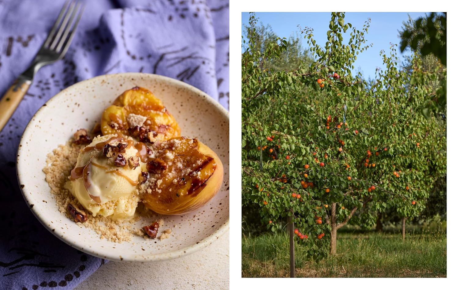 *Pre-order* Full Belly: Recipes and Stories from a Family Farm (Amon Muller, Jenna Muller)