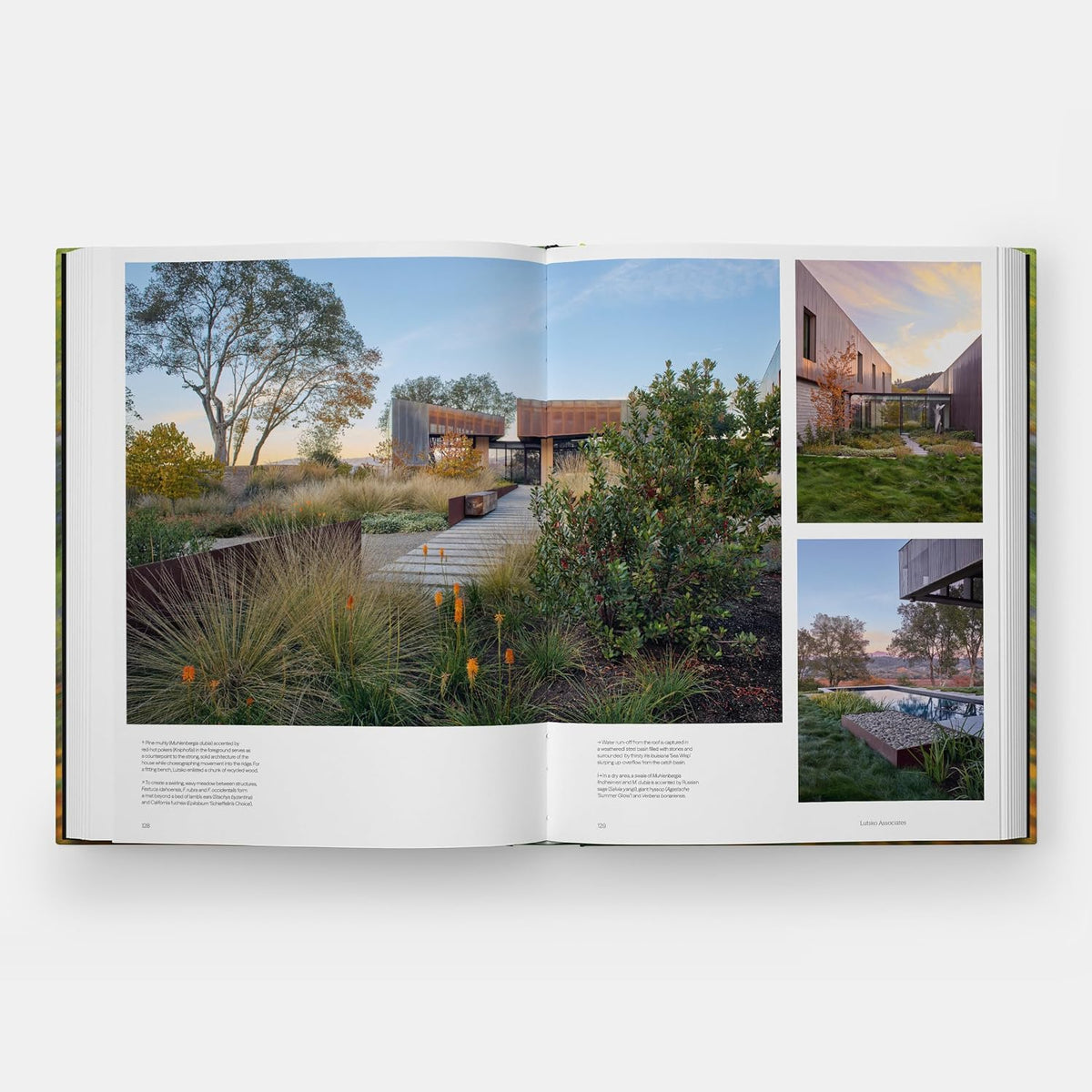 *Pre-order* Into the Garden: Private Sanctuaries Around the World (Phaidon Editors, Clare Foster, Juliet Roberts, Colleen Morris)