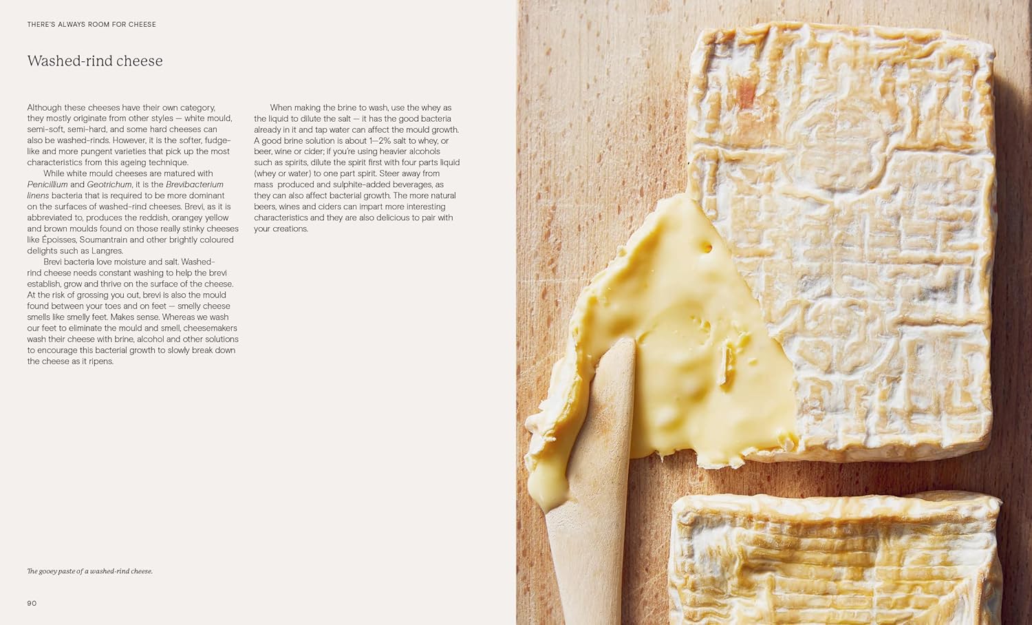 There's Always Room for Cheese: A Guide to Cheesemaking (Colin Wood)