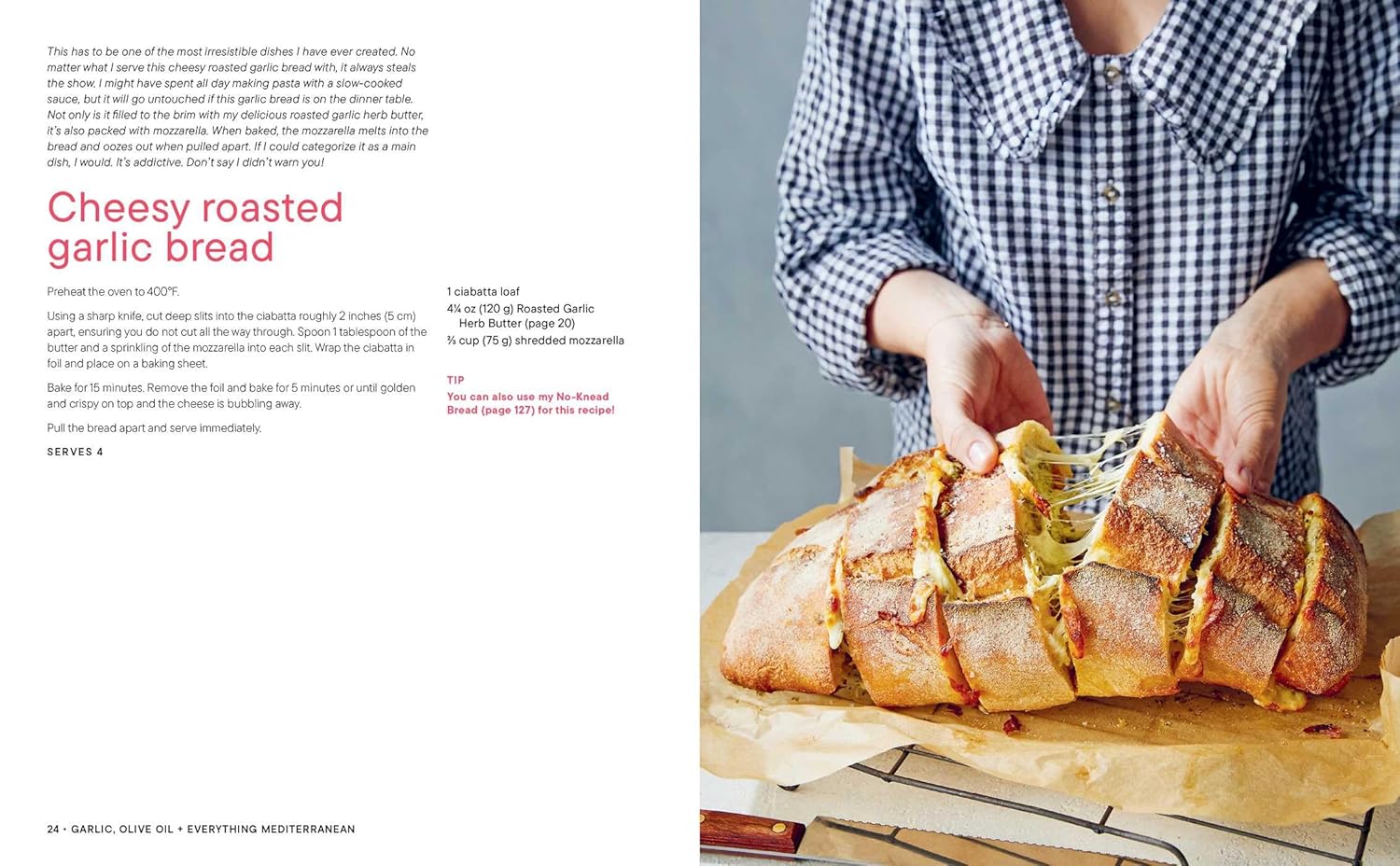 Garlic, Olive Oil + Everything Mediterranean: Simple Recipes for the Home Cook (Daen Lia)