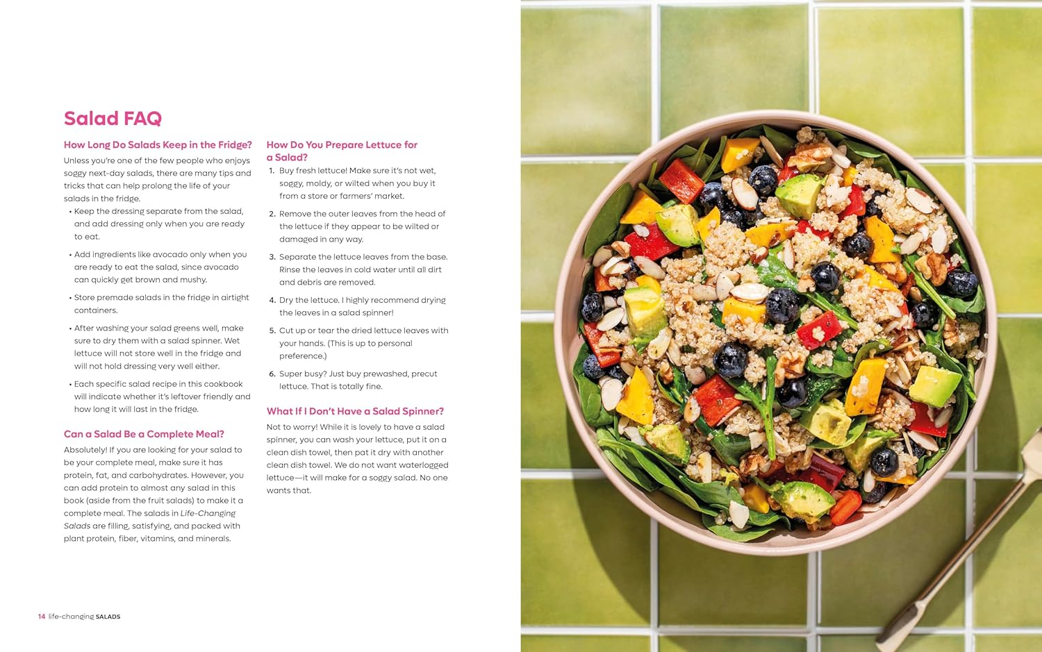 *Damaged* Life-Changing Salads: 100 Plant-Based Salads and Dressings Beyond Your Wildest Greens (Danielle Brown)