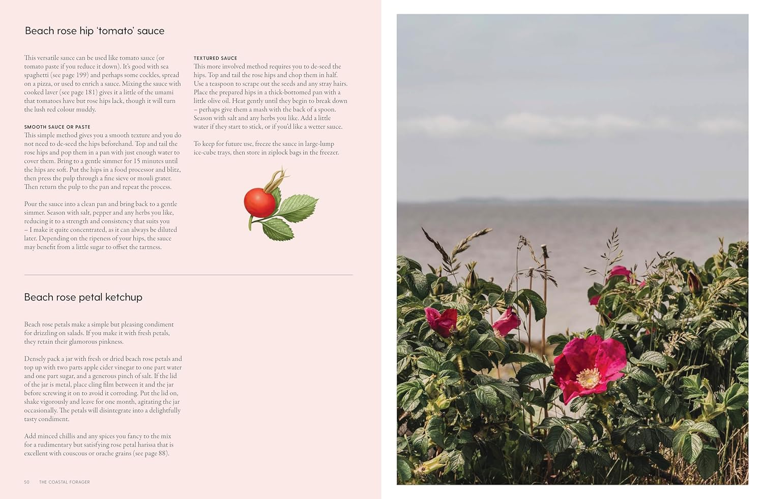 The Coastal Forager: Wild maritime food to preserve, cook, eat (Mark Williams)