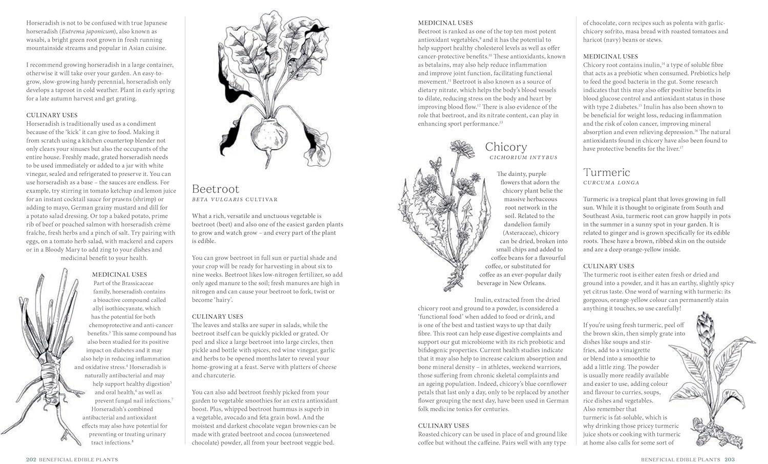 The Apothecary Chef: Recipes with Beneficial Herbs & Plants for a Long and Healthy Life (Natasha MacAller) *Signed*