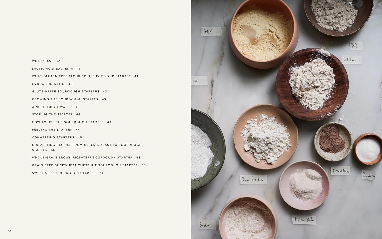 The Art of Gluten-Free Bread: Groundbreaking Recipes and Innovative Techniques for Artisanal Breads and Pastries (Aran Goyoaga) *Signed*