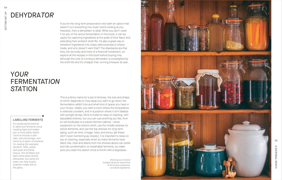 The Fermentation Kitchen: Recipes and Techniques for Kimchi, Kombucha ...