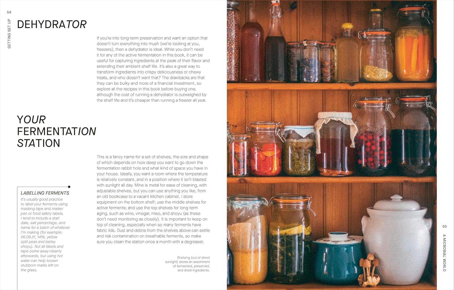 The Fermentation Kitchen: Recipes and Techniques for Kimchi, Kombucha, Koji, and More (Sam Cooper)