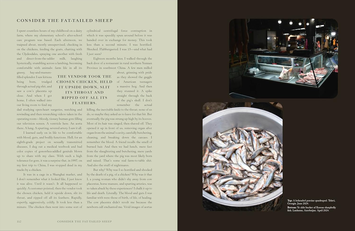 Silk Roads: A Flavor Odyssey with Recipes from Baku to Beijing (Anna Ansari)