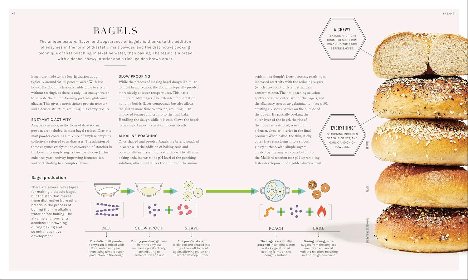 *Pre-Order* The Science of Baking: Everything You Need to Know to Create Perfect Sweet and Savory Bakes, Every Time (Matt Adlard)