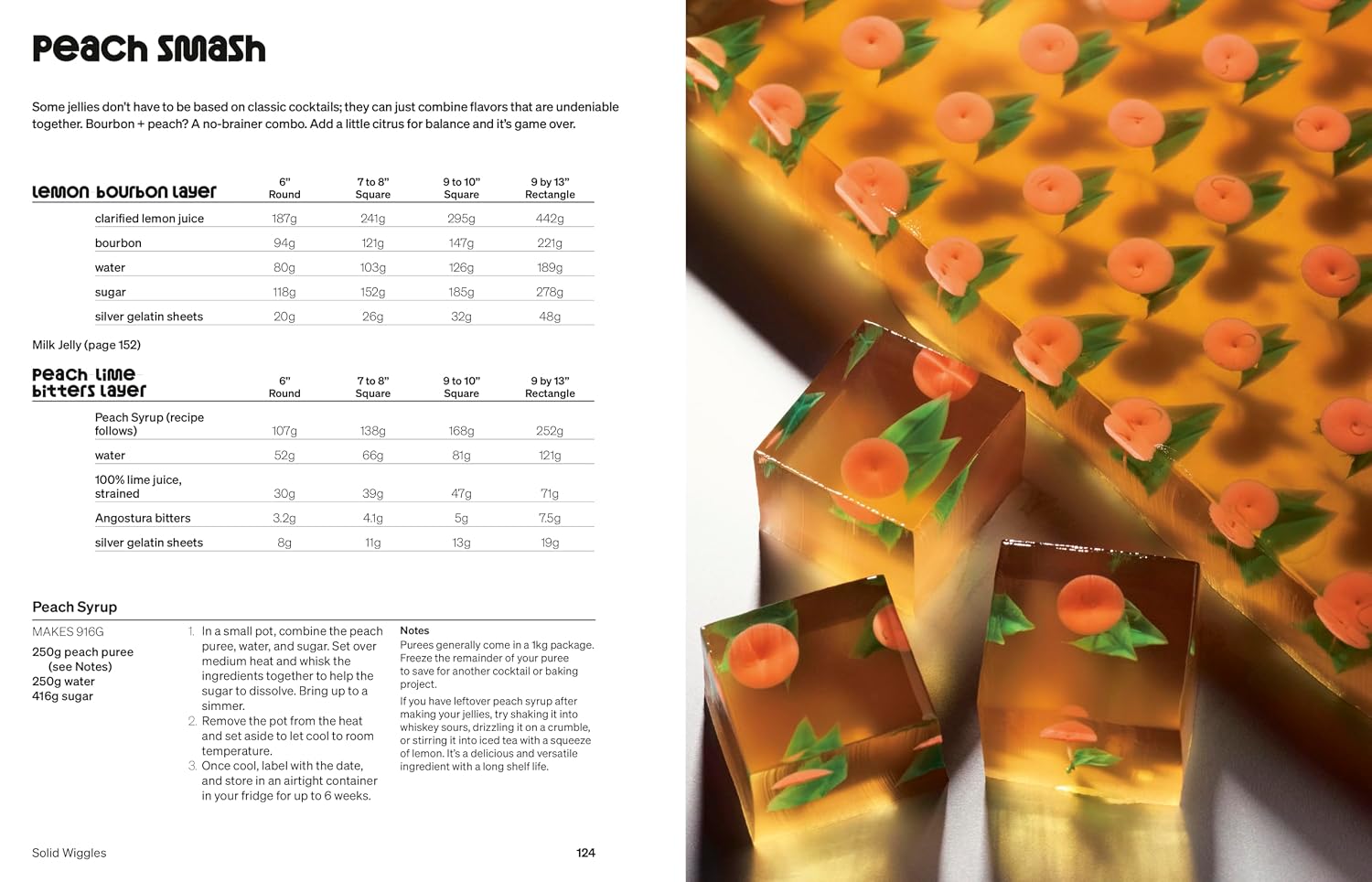 Solid Wiggles: Recipes and Techniques for Phenomenal Jelly Shots and Cakes (Jena Derman, Jack Schramm)