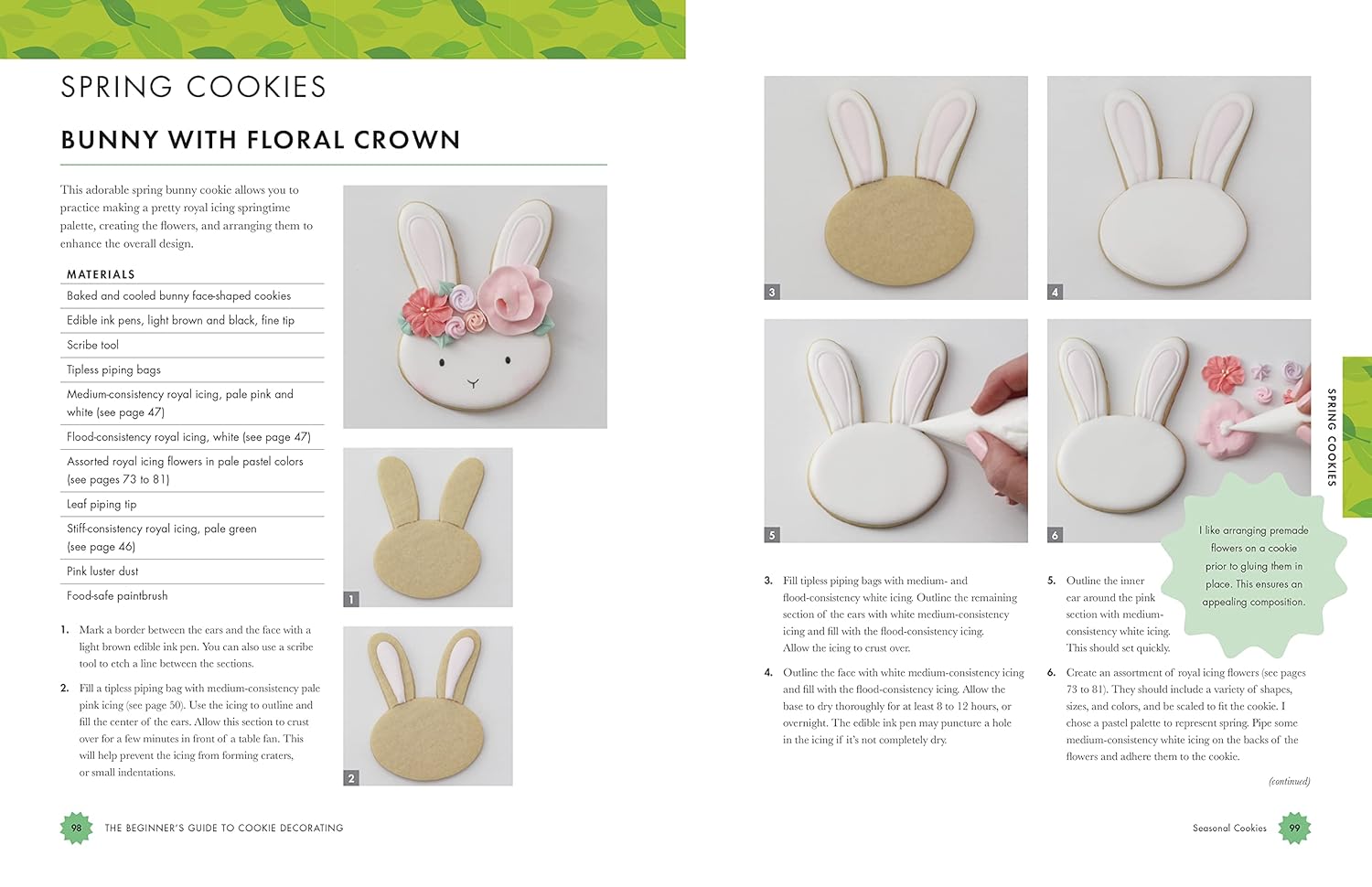 The Beginner's Guide to Cookie Decorating (Mary Valentino)