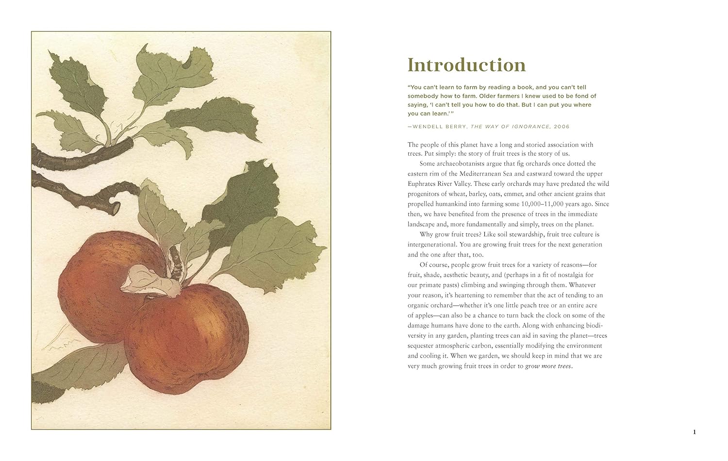 Fruit Trees for Every Garden (Orin & Manjula Martin)