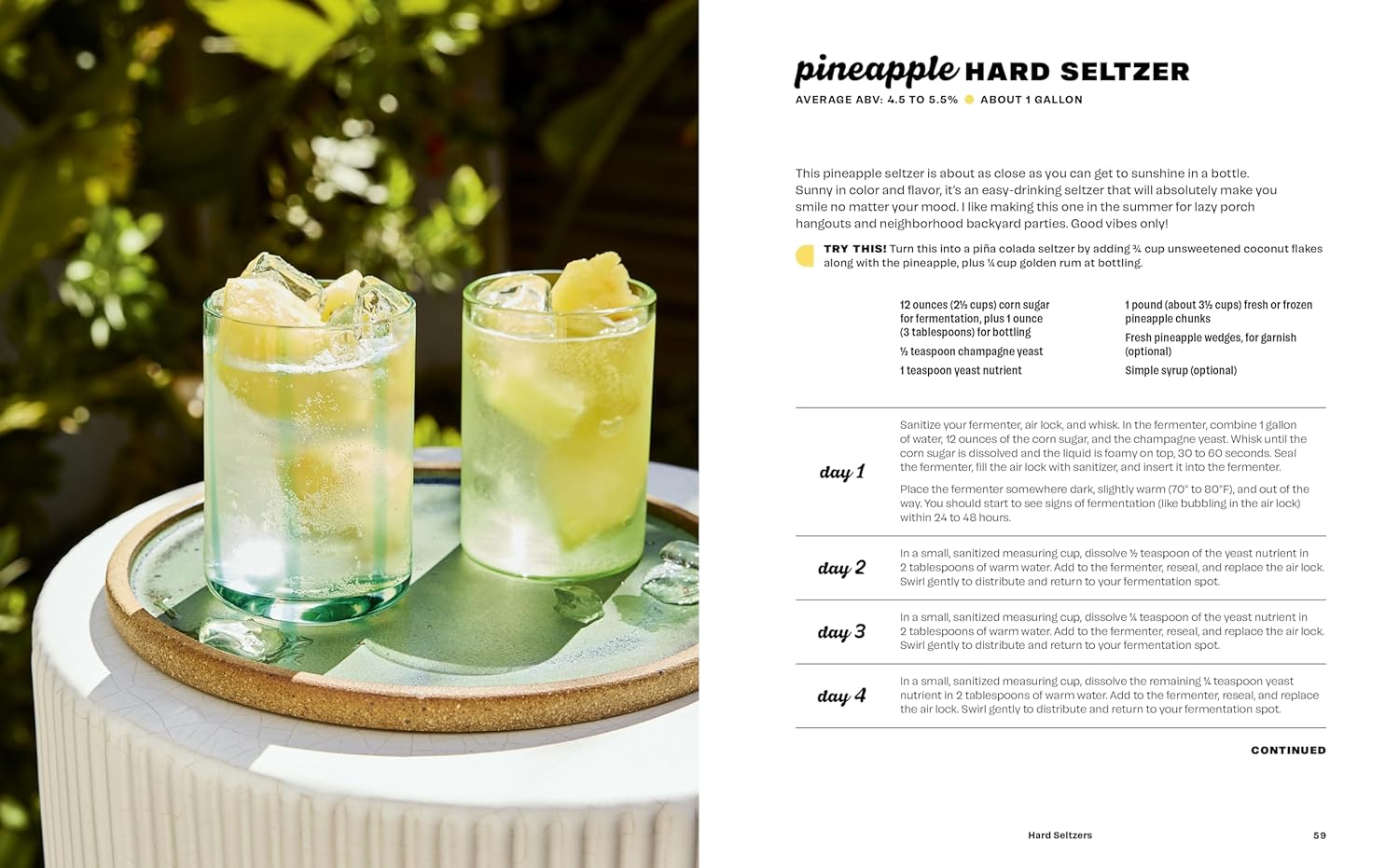Hard Seltzer, Iced Tea, Kombucha, and Cider: How to Make Your Own Boozy Fermented Drinks (Emma Christensen)