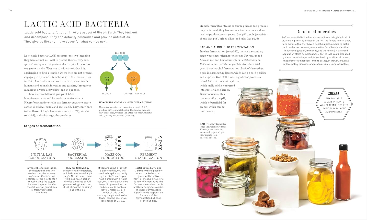 The Science of Fermentation by (Robin Sherriff)