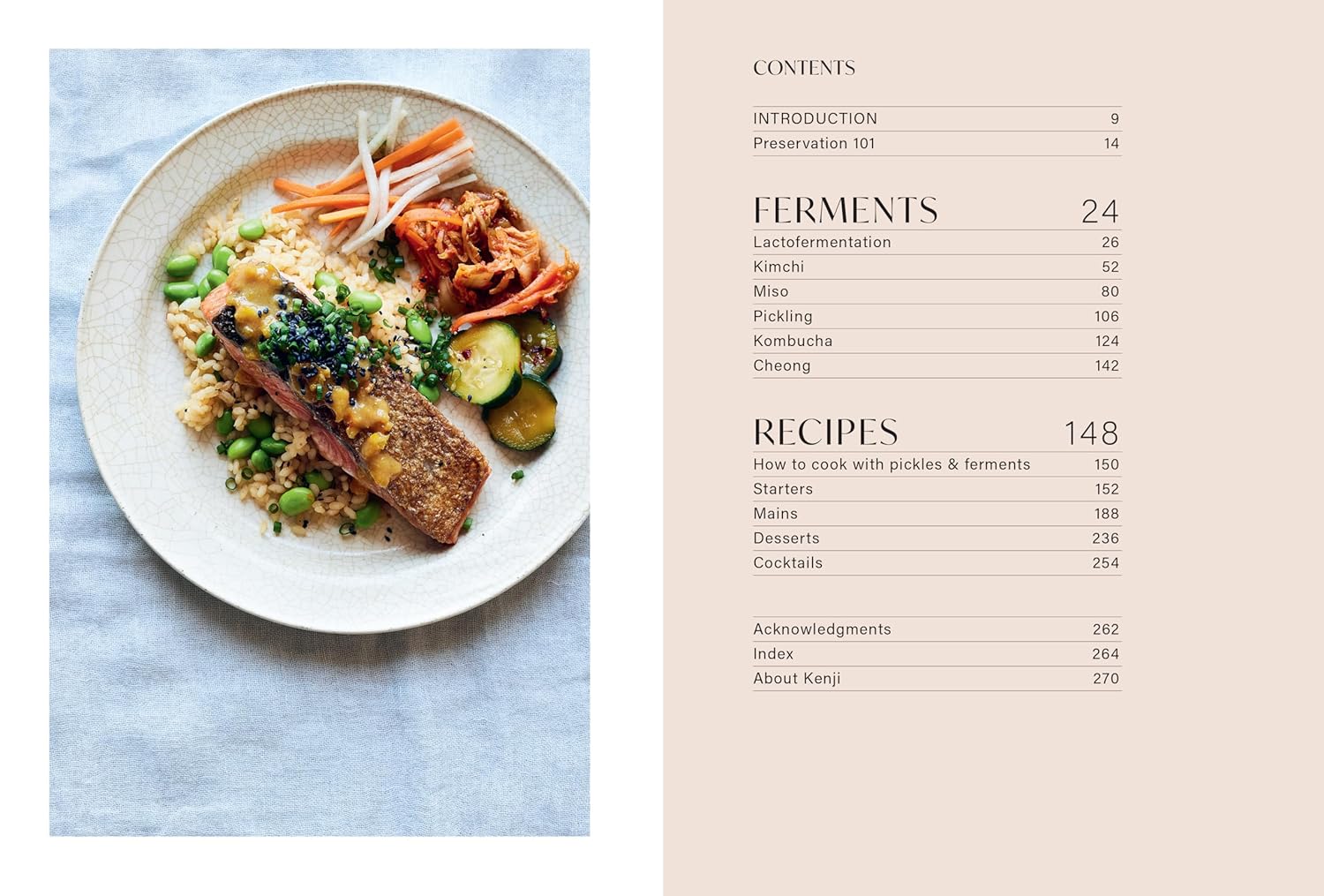 Ferment: Simple Recipes from My Multicultural Kitchen (Kenji Morimoto)