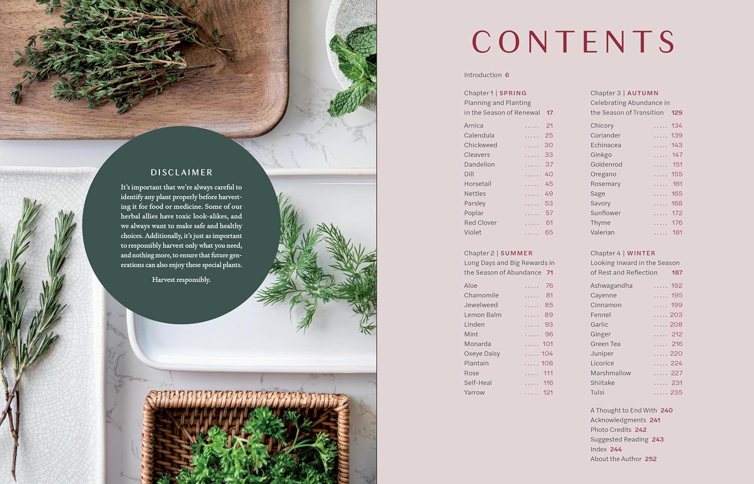Herbs in Every Season: 48 Edible and Medicinal Herbs for the Kitchen, Garden, and Apothecary (Bevin Cohen)
