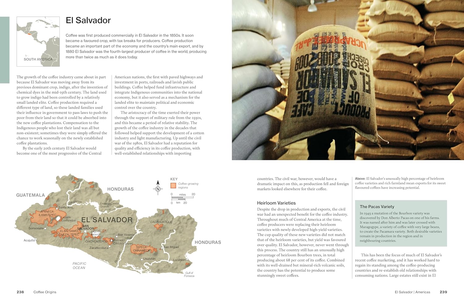 The World Atlas of Coffee, 3rd edition: From beans to brewing – coffees explored, explained and enjoyed (James Hoffmann)