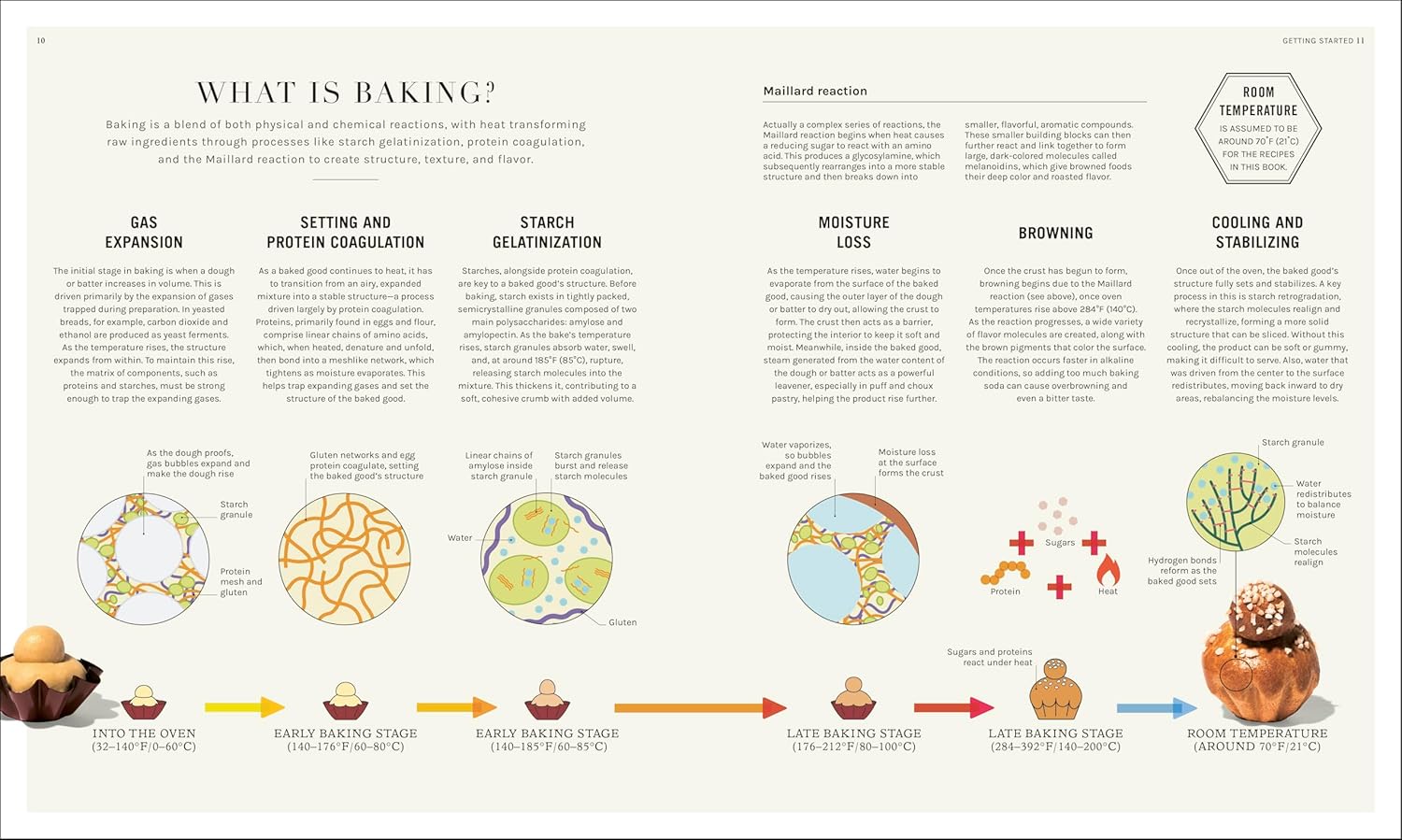 The Science of Baking: Everything You Need to Know to Create Perfect Sweet and Savory Bakes, Every Time (Matt Adlard)