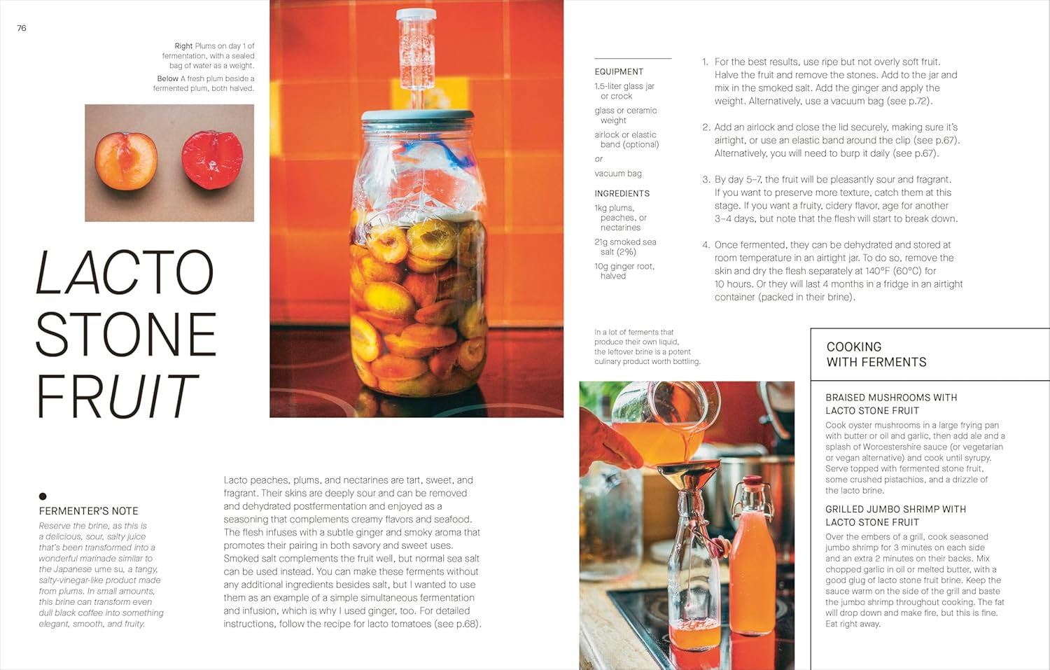 The Fermentation Kitchen: Recipes and Techniques for Kimchi, Kombucha, Koji, and More (Sam Cooper)
