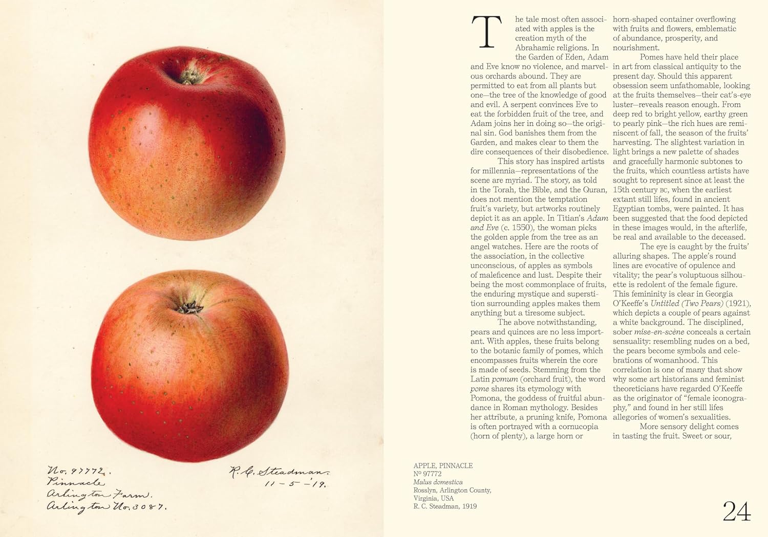 An Illustrated Catalog of American Fruits & Nuts (US Department of Agriculture Pomological Watercolor Collection)