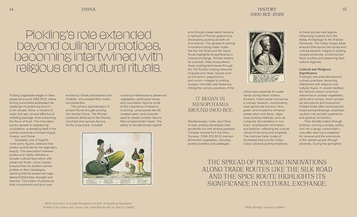 *Pre-order* The Pickled City: The Story of New York Pickles (Paul van Ravestein, Monique Mulder)