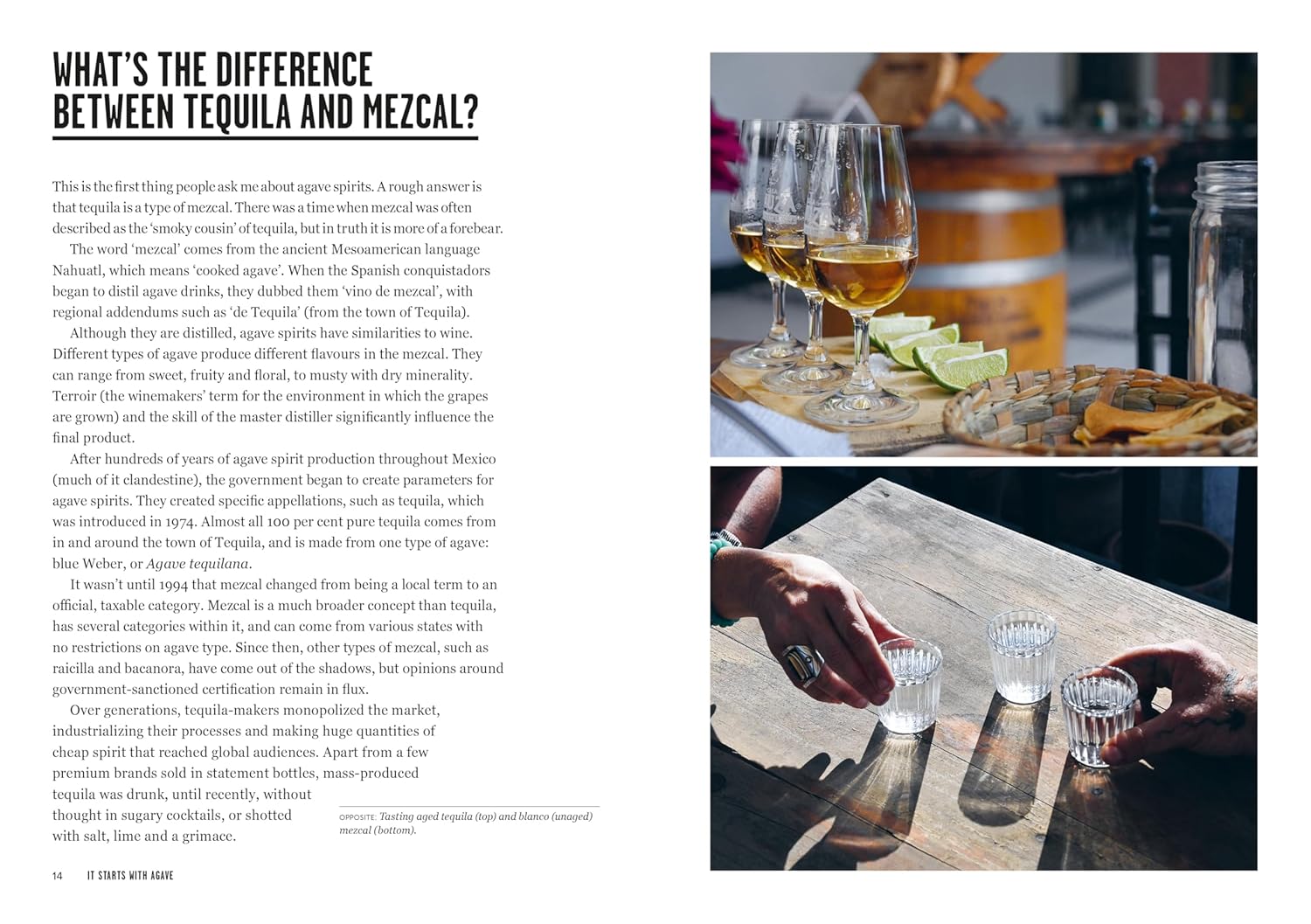 Tequila, Mezcal & More Discover, Sip & Mix the Best Agave Spirits (Anna Bruce)