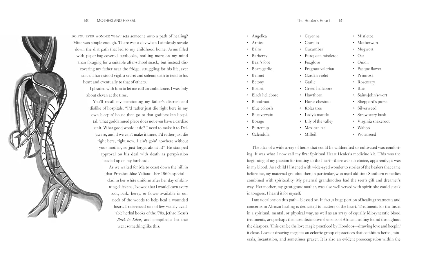 Motherland Herbal: The Story of African Holistic Health (Stephanie Rose Bird)