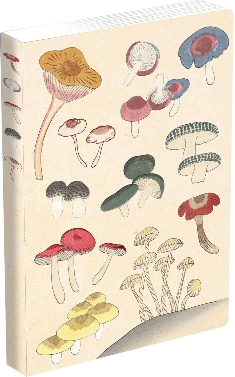 Healing Mushrooms Lined Paperback Journal: Blank Notebook with Pocket