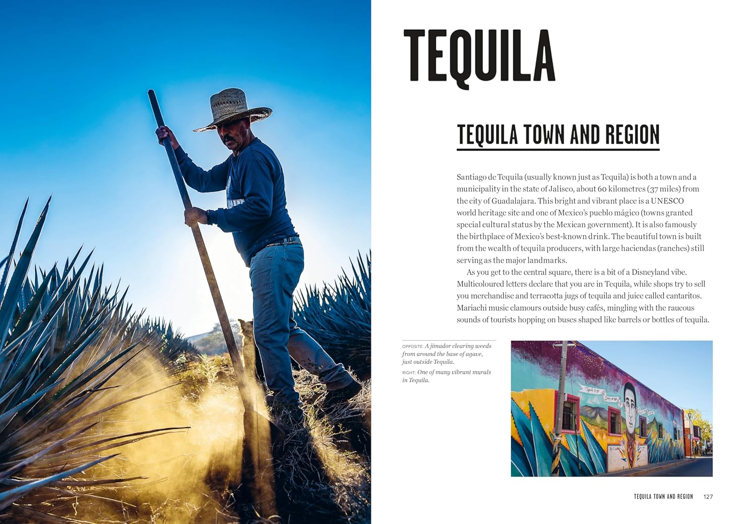 Tequila, Mezcal & More Discover, Sip & Mix the Best Agave Spirits (Anna Bruce)