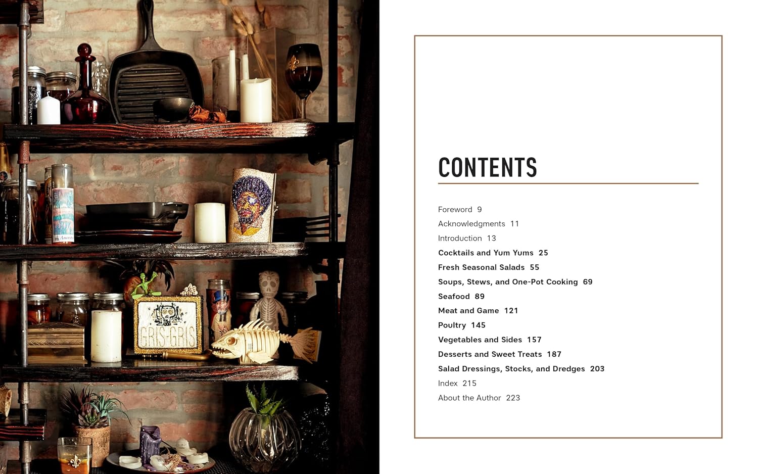 Modern Creole: A Taste of New Orleans Culture and Cuisine Hardcover (Eric Cook)