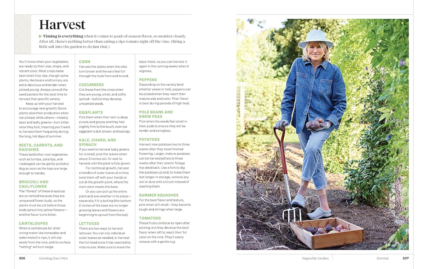 Martha Stewart's Gardening Handbook: The Essential Guide to Designing, Planting, and Growing―Martha Stewart's Handbook For Growing Beautiful Plants and Vegetables (Martha Stewart)