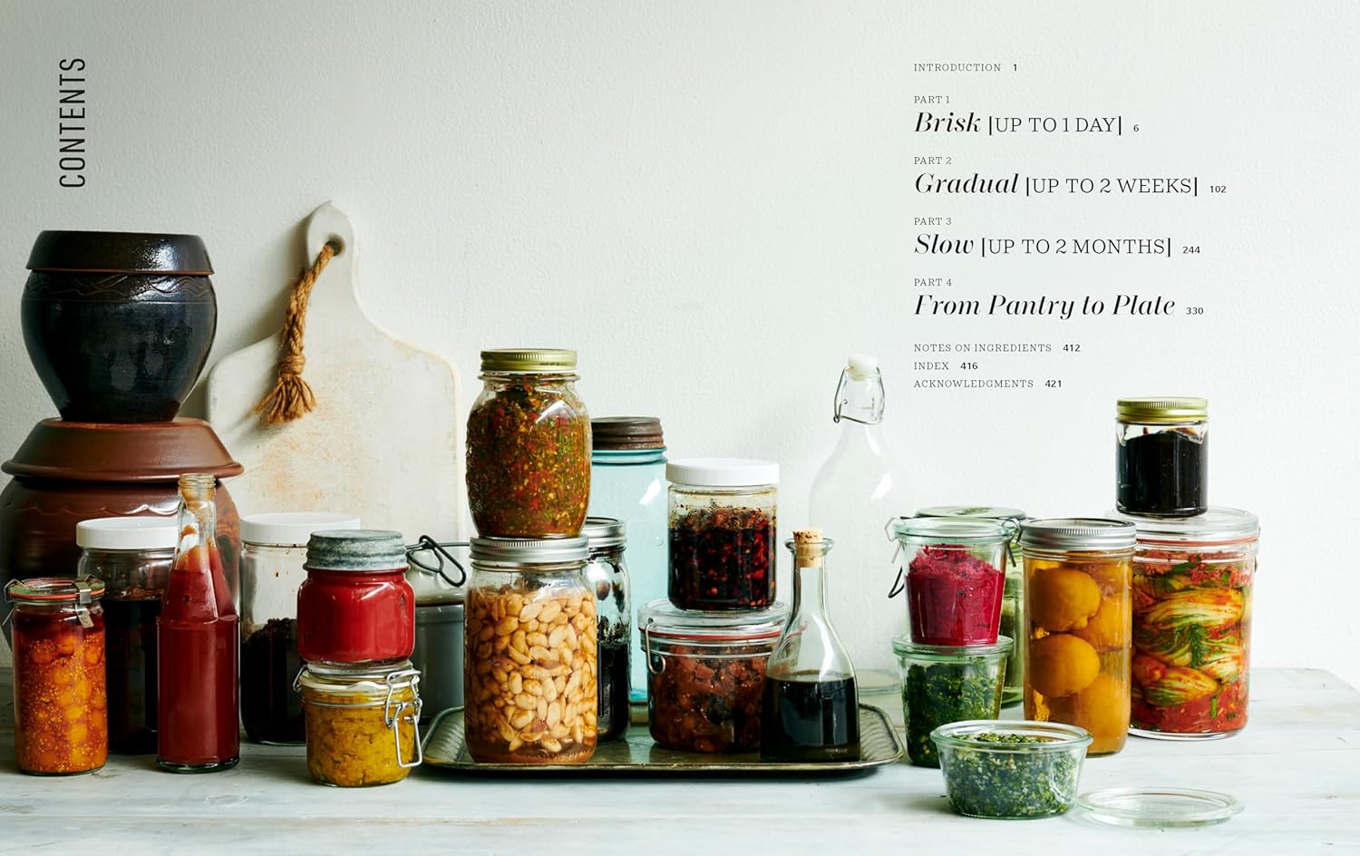 *Pre-order* Cultured: A Global Guide to Fermenting and Preserving Fruit, Vegetables, Dairy, and Grains, with over 150 recipes (Darra Goldstein, Cortney Burns, Richard Martin)