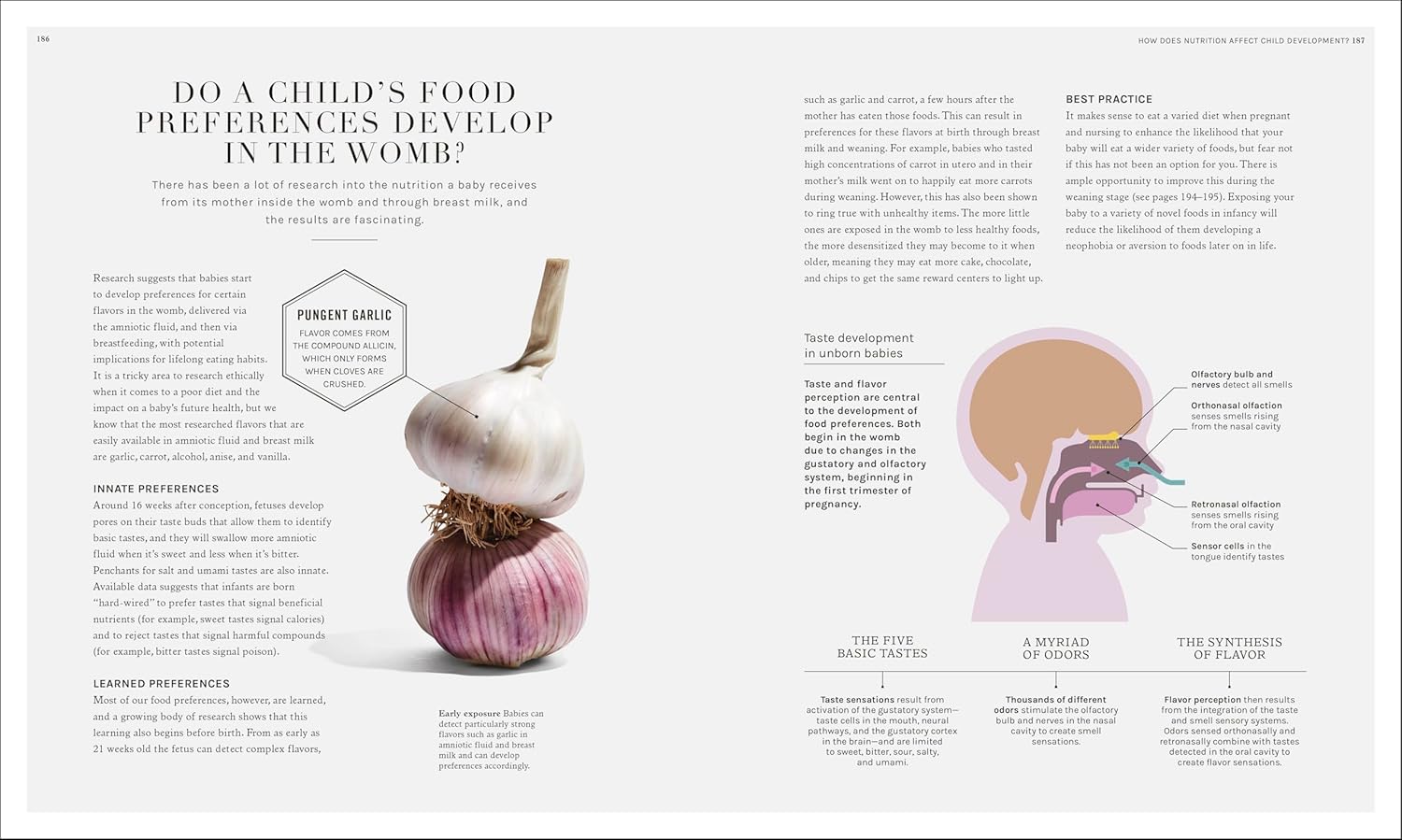 The Science of Nutrition: Debunk the Diet Myths and Learn How to Eat Responsibly for Health and Happiness (Rhiannon Lambert)