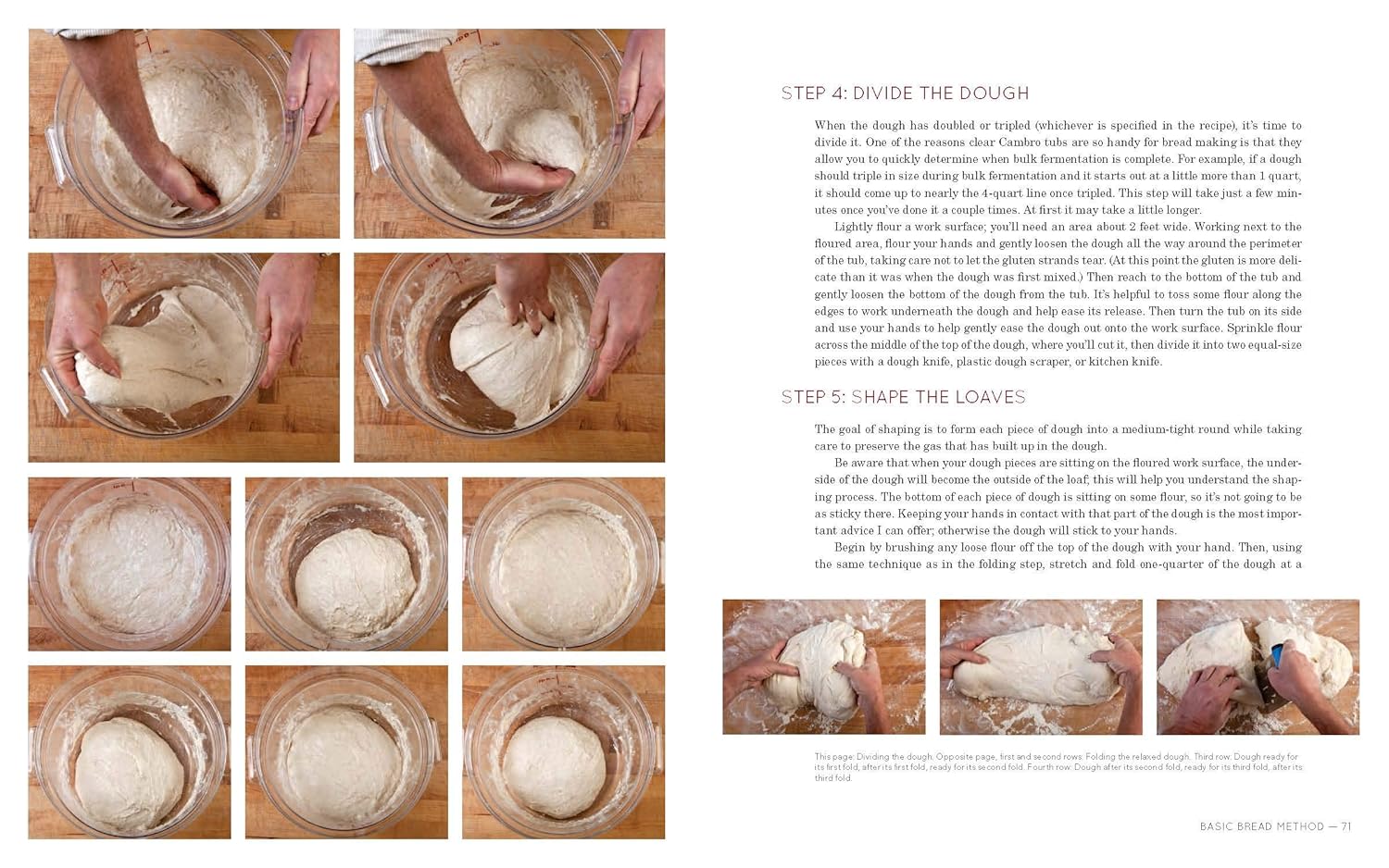 Flour Water Salt Yeast: The Fundamentals of Artisan Bread and Pizza (Ken Forkish) *Signed*