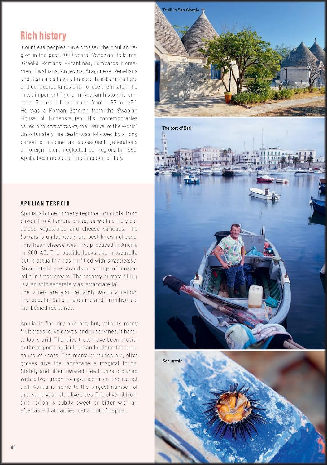 Italia con gusto e amore: Road Trip to the Roots of Italian cuisine (Annette Canini Daems)