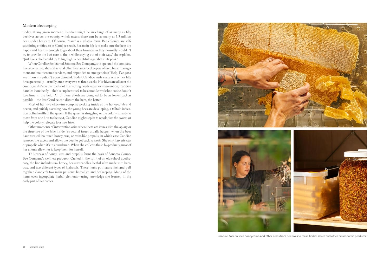 *Pre-order* Wineland: Celebrating the Heart of Sonoma (Charlie Palmer, Matt Villano)