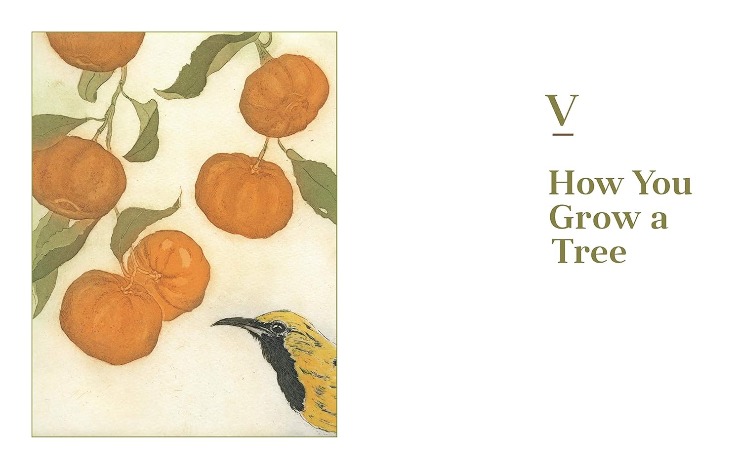 Fruit Trees for Every Garden (Orin & Manjula Martin)