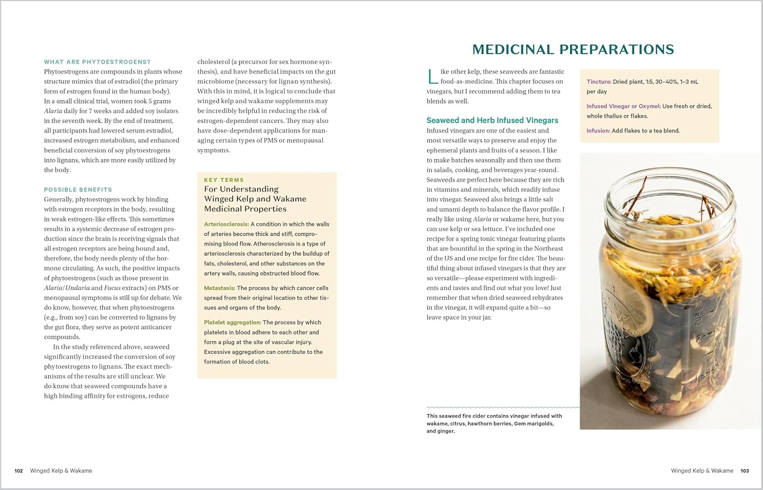 Edible & Medicinal Seaweeds: A Guide to Healing & Nutritive Ocean Plants (Tasha Greenwood)